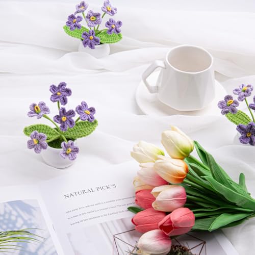 LAIDANLA Purple Crochet Forget Me Not Gifts, Mini Handmade Potted Flower | Birthday Graduation Anniversary Thinking of You Gifts for Women Teacher Mom Friend, Crochet Flowers Potted Plant for Desk - color: Ombre Purple
