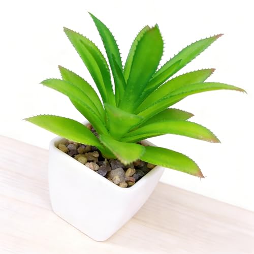 Artificial Succulent Plants in Pot - 1Pcs Bromeliads Realistic Fake Potted Succulents for Home Decor, Desk, Office, Bathroom, Windowsill - Indoor Houseplant for Bedroom, Kitchen, Shelf - color: Bromeliads