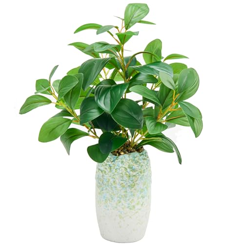 K&Y Realistic Artificial Potted Plants Olive Wild Fern Berry Decor Low Maintenance Faux Greenery Indoor Fake Plants for Home Office Bathroom Kitchen Desk Shelf (Green Flower vase Potted Plant) - color: Green Flower Vase Potted Plant