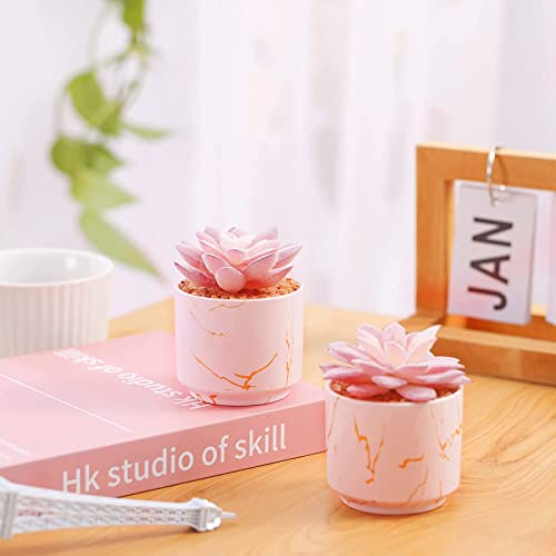 ZENIDA Succulent Artificial Plants,Cute Fake Succulents in 2 Pink Ceramic Pots,Small Fake Plants for Office,Table,Desk,Bathroom, Bedroom,Aesthetic Room Shelves Decor,Desk Decorations for Women Office - color: Pink