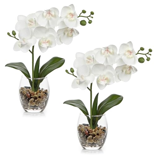 White Orchids Artificial Flowers with Vase, Small Faux Orchid Arrangement Set of 2 Fake Flowers in Glass Vases Small White Centerpieces for Kitchen Dining Room Tables Bathroom Nightstand Shelf Decor - color: White # Clear#2 Packs