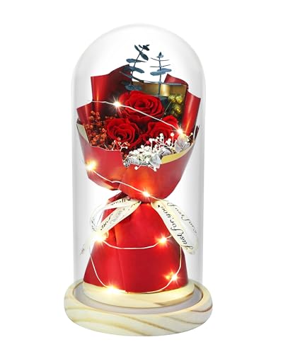 HVY Preserved Flowers Bouquet for Her,Forever Flowers Fresh Bouquet Mothers Day Birthday Gifts for Mom Preserved Rose Gifts for Women Wife Girlfriend Red Eternal Rose Present - color: Red Rose