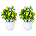Small Artificial Tree Faux Bonsai Plant with Pot 9.44X14.96X7.48In Decorative Fake Tree for Home Office Desk