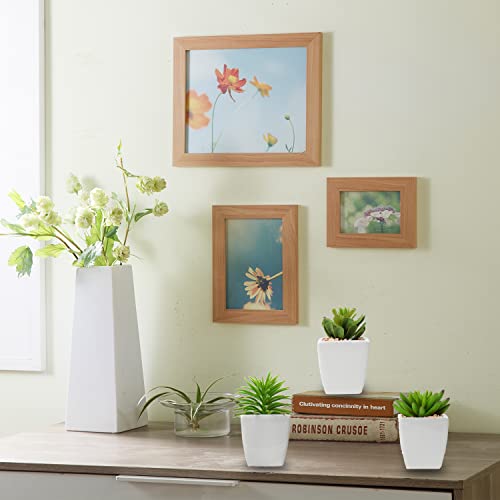 Hollyone Small Faux Succulents in White Ceramic Pot 3Pcs Artificial Succulents Fake Plant Gifts Home Decor Accents Centerpieces Bathroom Decor Mum Gifts Greenery Decoration Succulents Wedding - color: 3pack - White Ceramic 2