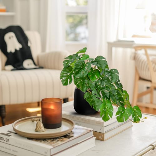DILATATA Fake Plants Indoor 8 Inch Artificial Monstera Plant in Black Ceramic Pot - Faux Potted Tropical Palm Plant for Home Aesthetic Decor Living Room Shelf Office - color: Monstera #Ceramic