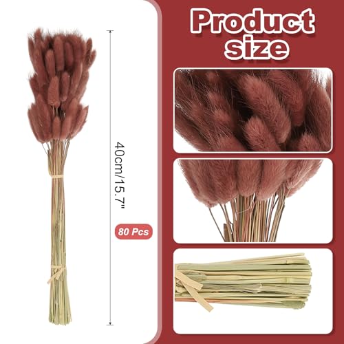 PATIKIL 15.7in Bunny Tails Dried Flowers, 80pcs Pampas Grass Decor Rabbit Tail Natural Pampas Grass Bulk Fluffy Faux Pampas Grass Dried for Home Boho Decor Vase Wedding Table, Brown - color: Brown