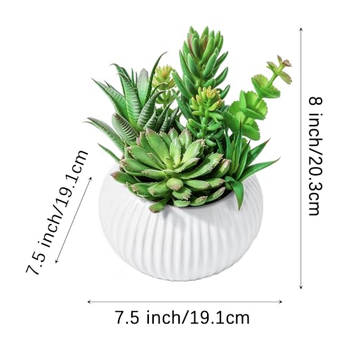 8 Inch Fake Plants Artificial Succulent Plants，White Ceramic Flower Pot，Assorted Faux Mini Succulents in a Decorative Planter Pot. - color: Pinkish White