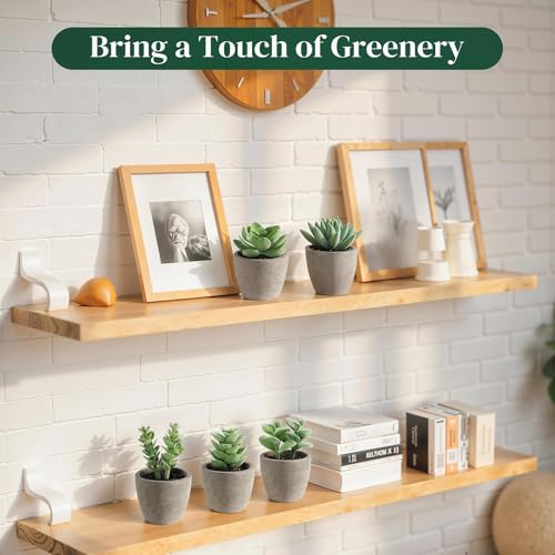 DomeStar Set of 6 Artificial Succulent Plants Potted, Assorted Decorative Faux Succulent Potted Fake Cactus Cacti Plants with Pots - color: Green