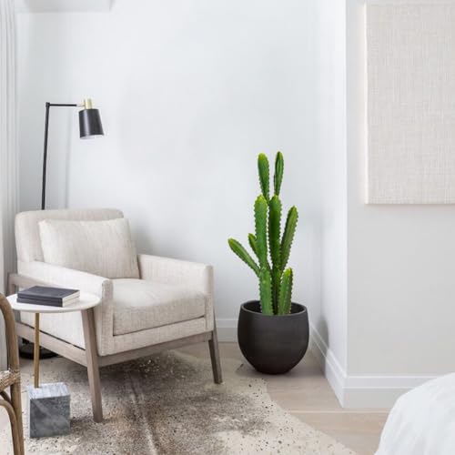 DILATATA 32.5" Tall Fake Cactus Plant Potted 'Euphorbia Accruensis' - Large Artificial Cactus for Home, Garden, Office Decor - Housewarming Gifts - color: Euphorbia Accruensis