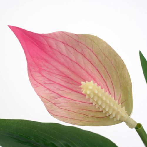 2 Packs Artificial Spathiphyllum Silk Plants 18.5" Faux Peace Lily Anthurium Flower for Wedding Home Garden Decoration (Pink) - color: Pink
