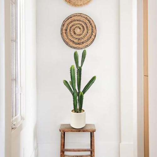 DILATATA 32.5" Tall Fake Cactus Plant Decorative Potted 'Euphorbia Accruensis' - Large Artificial Cactus for Home, Garden, Office Decor - Housewarming Gifts - color: White Pot Ea