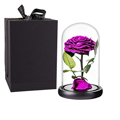 Purple Roses Handmade Rose in Glass Dome, Preserved Flowers Never Withered Romantic Gifts for Her, Mother's Day, Birthday Gifts for Women (9 inch, Purple) - color: Purple, size: Large