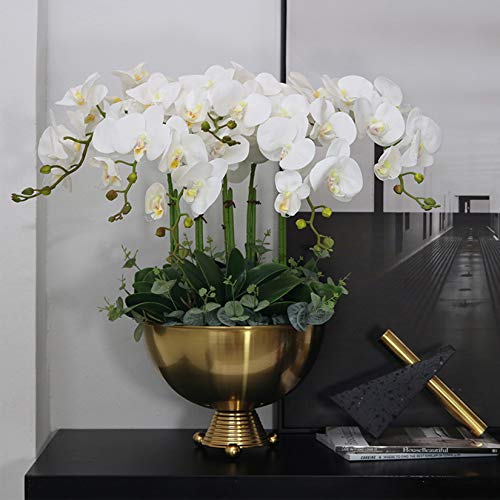 FagusHome 32" Artificial Phalaenopsis Flowers 6 Pcs Artificial Orchid Flowers Stem Plants for Home Décor (6Pcs) - color: White