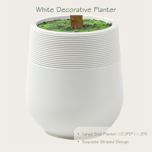 Bellacat 6ft Super Fuller Faux Olive Tree with White Decorative Planter & Multiple Real Wood Trunks, 72in Olive Trees Artificial Indoor with Realistic Fruit, Fake Olive Tree for Indoor Décor - style: 6ft Olive Tree