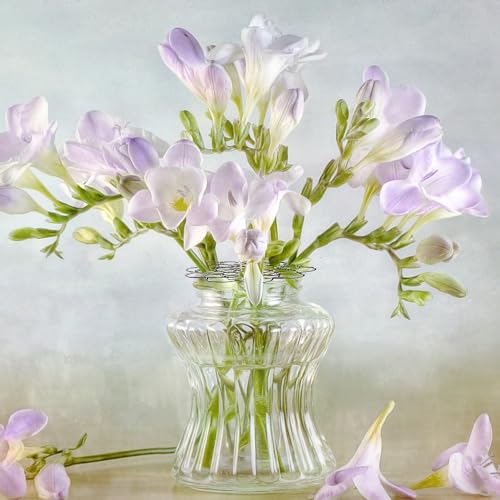 Flower Arrangement Holder Stainless Steel, Wire Flower Arranging Tool Flower Grid Flower Frog Wire Arranger for Vase Floral Stems Bouquets Plant Fixation (6inch) (2 PCS) - color: 2 PCS