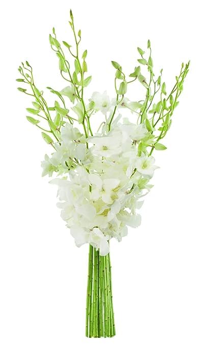 KaBloom - 10 White Orchid Without Vase - Fresh Flowers for Birthday, Valentine's & Mother's Day - color: White Orchid, style: With Vase