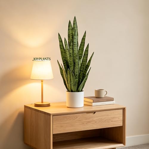 Fake Snake Plant 3FT, 35" Artificial Potted Plant with White Pot, Realistic Faux Floor Plant for Home Decor, Low Maintenance No Watering Needed for Desk Corner Office & Pet Areas (Green) - color: Sansevieria Green 35in