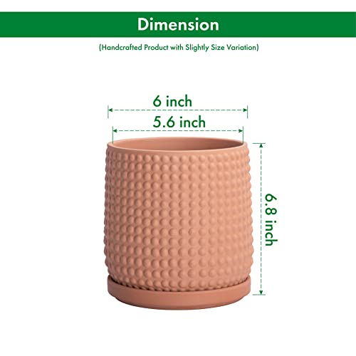 D'vine Dev 6 Inch Terracotta Beaded Planter Pot - Flower Pot with Drainage Hole and Saucer for Indoor Succulent Plants or Flowers, Terracotta, 27-C-X-7 - color: Terracotta, size: 5.8 Inch