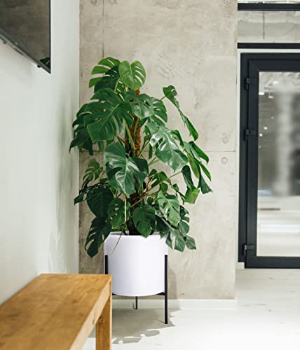 D'vine Dev Modern White Plants Pot Cylinder Planter with Heavy Duty Stand, XX-Large 16 Inch Pot, 22.8 Inch with Stand Height, 96-T-A-5 - color: White, size: XX-Large 16 Inch