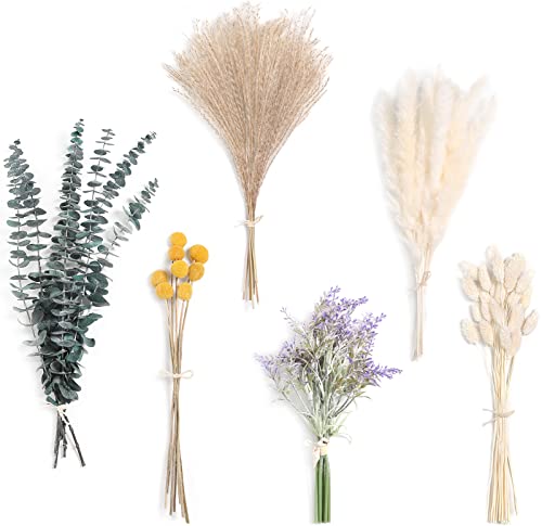 Serra Flora Natural Dried Pampas Eucalyptus Rabbit Tail Grass,(Pack of 66pcs) with 6 Kinds of DIY Bridal Artificial Bouquets Home Decor Wedding Floral Arrangement Table Centerpieces - color: Natural，green，white