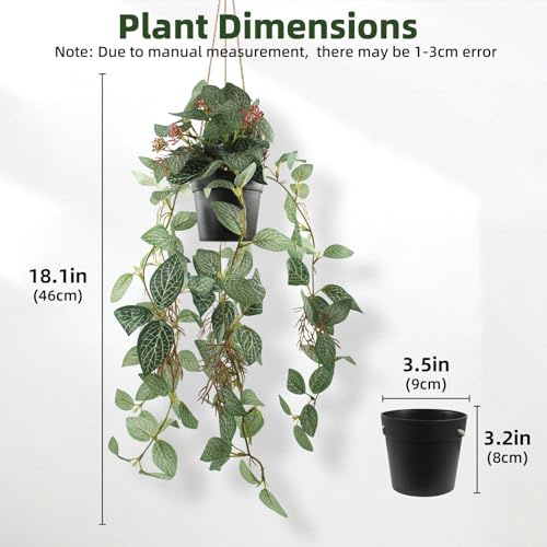 Artificial Hanging Ivy Plants Realistic 3D Watermelon Texture with Flower Buds Fake Potting Leaves Faux Peperomia Vine Green Plants for Indoor Outdoor Home Garden Decor - color: B