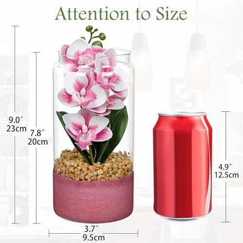 Pink Orchids Artificial Flowers with Vase, Small Faux Orchid Arrangement Fake Orchids Plant in Terrarium Jar Small Pink Orchid Centerpieces for Kitchen Dining Room Tables Bathroom Nightstand Decor - color: White + Pink Sand