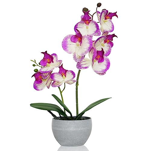 Purple Orchid Artificial Flowers 2 Stems in Grey Pot, Potted Faux Orchid Flower for Home Bathroom Table Living Room Office Kitchen Decor - color: Purple Texture