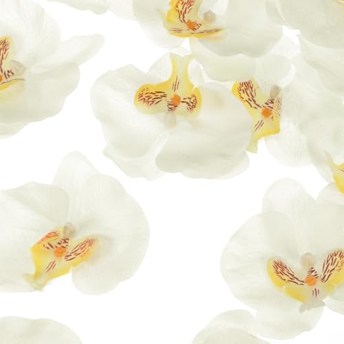 M METERXITY 20-Pack Artificial Orchid Flower Heads, Silk Faux Butterfly Flowers Head for Wedding/Bouquet/Bridal/Party Decor, Fake Phalaenopsis Petals Bulk [3.54 Inch, White Yellow] - color: White Yellow, size: 3.54 Inch