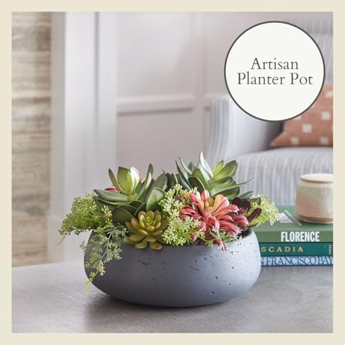 CG Hunter Faux Succulent Arrangement, Premium Artificial Indoor Plant Enhances Interior Design, Display on Any Surface in Your Home Adding an Inviting Touch of Nature, Grey Planter Pot Included - size: 14" Round Grey Planter