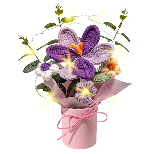 Crochet Daisy Flowers Bouquet, Handmade Daisy Artificial Flowers with Card for Mother's Day, Birthday, Wedding, Home Decor, Teacher's Day, Grandma Bday Gift (Purple-1) - color: Purple-1