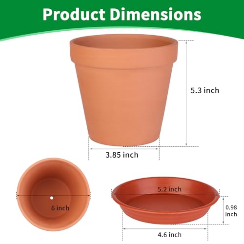 6 Pack 6 Inch Terracotta & Clay Pots with Saucer for Plants, Large Terra Cotta Plant Pot with Drainage Hole, Flowerpot for Indoor Outdoor Plants, Crafts, Wedding Favor