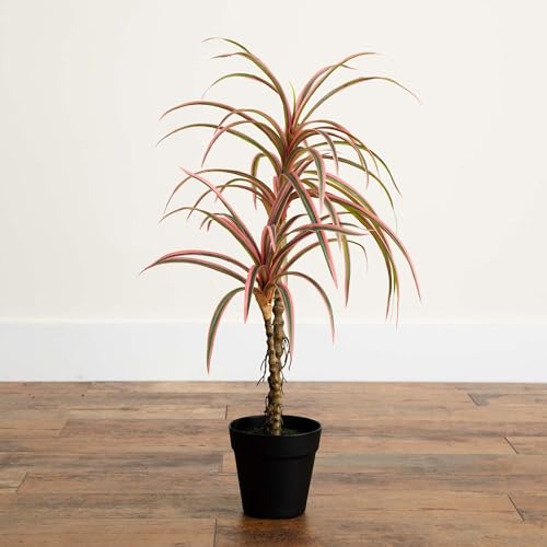 Nearly Natural 2ft. Artificial Dracaena Marginata Plant