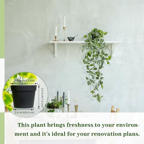 Artificial Plants Indoor Small Potted Hanging Vine plnat 39-in Long Fake Green Eyebrow Leaf Plant Faux Trailing Plant for Home Office Livingroom Desk Shelf Mantle Decoration (Black Pot) - color: Eyebrow