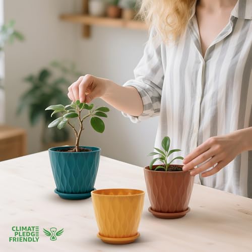 YNNICO 4 inch Plant Pots, 5 Pack Flower Pots Outdoor Indoor, Planters with Drainage Holes and Tray Saucers (Multicolor) - color: Multicolor, size: 4 inch