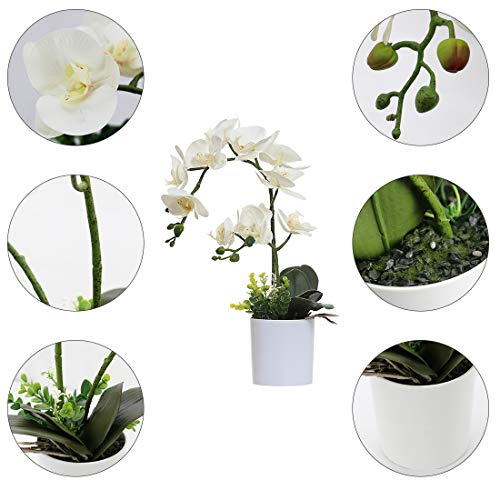 White Orchid Artificial Flowers in Pot, Fake Plastic Orchid Flowers, Decoration for Home Office Wedding(White 2 Bouquets) - color: White 2 Bouquets