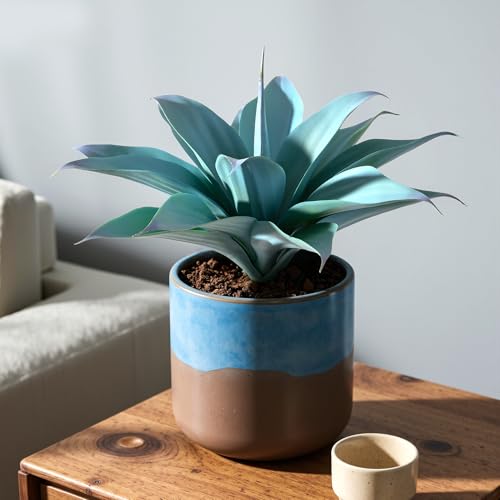 Ttranewsoo Fake Plants Artificial Agave Plants 13.8" Large UV Resistant Fake Agave Planters for Indoor and Outdoor Decorating Tropical Plant Succulents Greenery Indoor Decor (Blue) 2Pack - color: Agave15-blue2