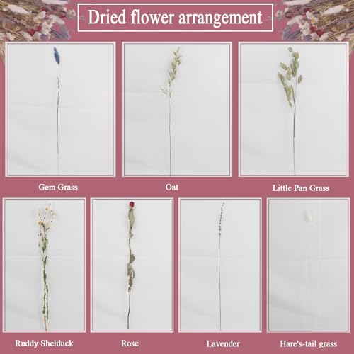Natural Dried Flower Bouquet Dried Rose Lavender Straw Daisy Flowers White Bunny Tails Pussy Willow Floral Stems Arrangements for Vase Wedding Table Centerpiece Farmhouse Home Decor 17 Inch - color: Natural Flowers