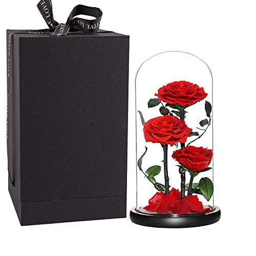 Perfectione Roses Handmade Preserved Rose in Glass Dome, Red Roses, Birthday Gifts for Women - color: Red, size: X-Large