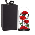 Perfectione Roses Handmade Preserved Rose in Glass Dome, Red Roses, Birthday Gifts for Women - color: Red, size: X-Large