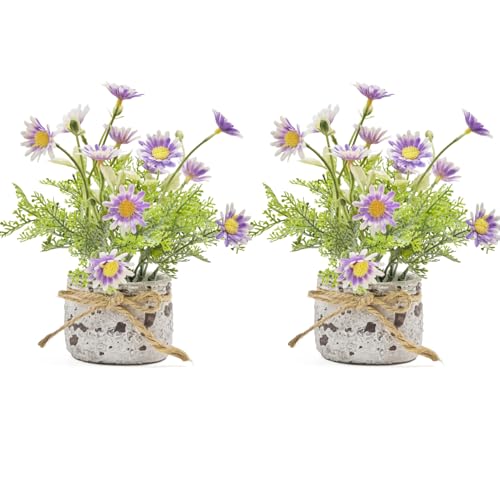Daisy Artificial Flowers in Cement Vases 2Pcs,Daisies Faux Flowers Farmhouse Home Coffee Table Bookshelf Office Desk Decorations Kitchen Dining Room Fake Plants Indoor(Purple) - color: Purple Daisy