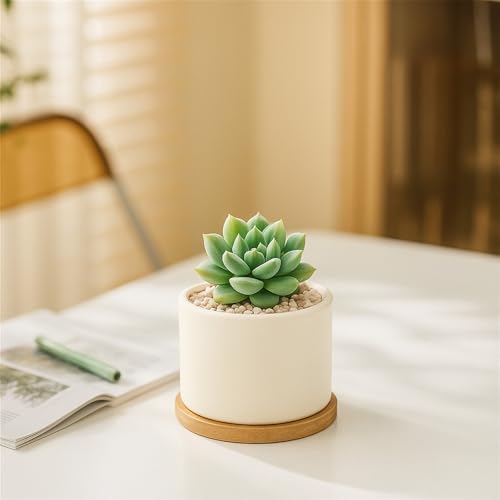 ZOUTOG Succulent Pots 3.1 Inch,6 Pack Succulent Planters,Small Pots for Plants with Drainage and Tray,White Ceramic Flower Planters for Indoor Plants,Home,Office,Desk - size: 6 Pack