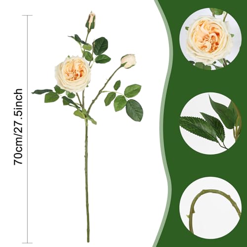 Real Touch Austin Roses Peonies Artificial Flowers 4 Bouquets Latex Fake Peonies with Long Stem Realistic Faux Peonies Flower for Wedding Party Home Table Centerpieces Decorations (Champagne) - color: Champagne