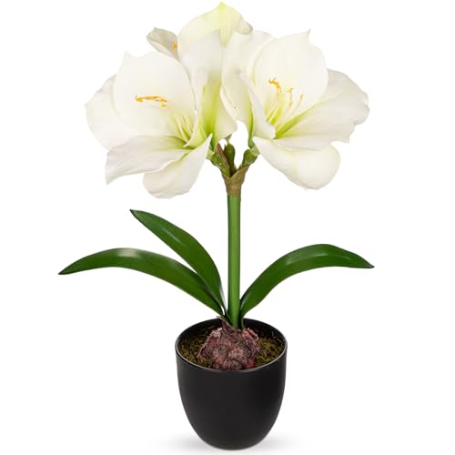 Briful White Amaryllis Fake Flowers 17.3'' Tall Silk Amaryllis Plant in Black Pot Artificial Floral Arrangement with Decorative Bulb for Home Office Bathroom Kitchen Table Holiday Décor - color: White, size: Black Plastic Pot