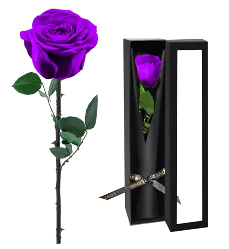 Preserved Flowers for Delivery,Purple Rose Bouquets That Last 5 Years,Birthday Flowers Gifts for Women Mom Grandma Wife Friends,Mothers Day Gift,Romantic Floral for Anniversary or Valentine’s Day - color: Purple, size: Single Rose