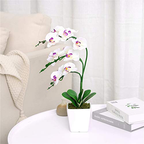 15" Tall Artificial Silk Phalaenopsis Orchid Flower Plant Pot Arrangements (White) - color: White