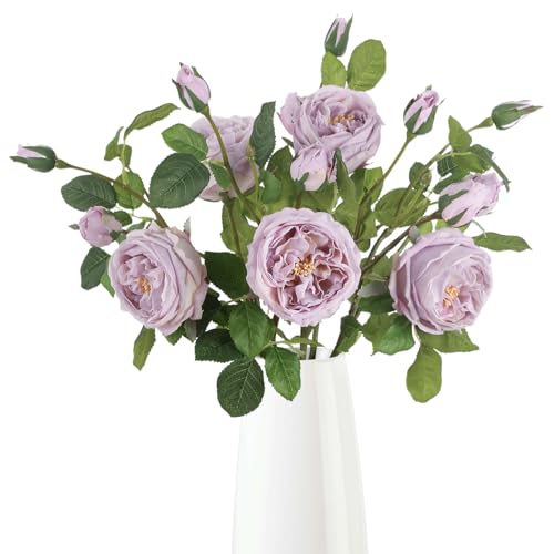 Real Touch Purple Austin Roses Peonies Artificial Flowers 4 Bouquets Latex Fake Peonies with Long Stem Realistic Faux Peonies for Wedding Party Home Table Centerpieces Decor (Light Purple) - color: Light Purple
