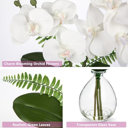 Oairse White Orchids Artificial Flowers, Faux Orchid in Glass Vase Real Touch Small Phalaenopsis Orchid Flowers Arrangements with Clear Vase Orchids Centerpiece for Dining Room Table - color: White & Clear