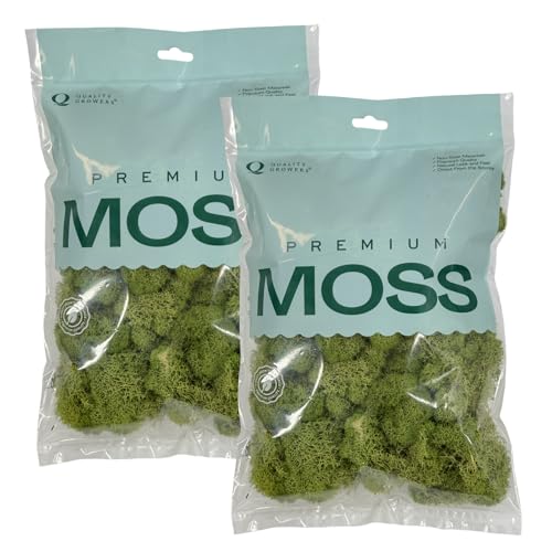 Quality Growers - Preserved Reindeer Moss - Moss for Crafts, Home Decor, Art, Design & DIY Projects - Non-Toxic - USA Made (Spring Green, Medium, 2-Pack) - color: Spring Green, size: Medium (2-Pack)