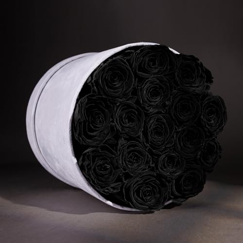 Prifroti 17 Flowers in a Luxury Suede Box, Birthday Gifts for Women, Preserved Flowers, Mothers Day Roses Gift for Mom, Black - color: Black, size: 17 Roses