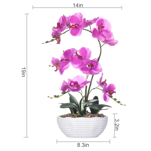19" H Phalaenopsis Faux Orchid Plant Silk Orchid Centerpiece Artificial Floral Arrangement in Ceramic Pot (Fuchsia) - color: Fuchsia